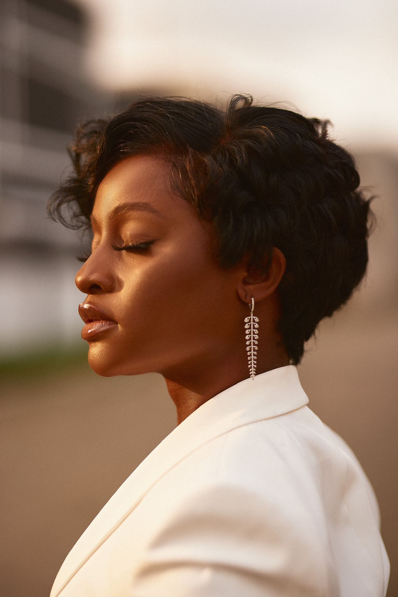 Luxury Earrings